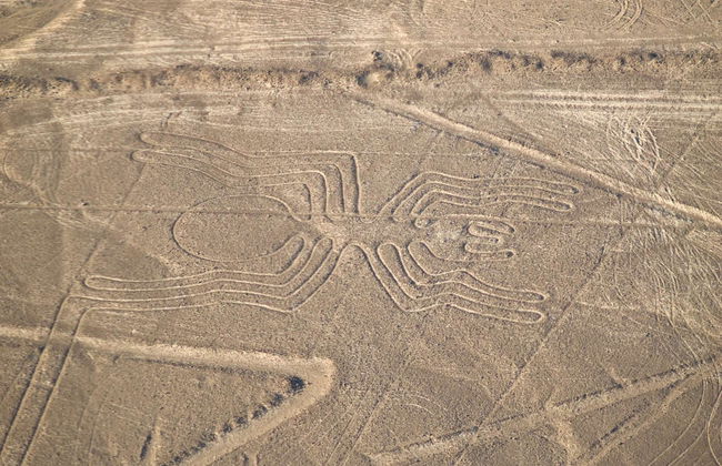 Nazca Lines Plane Ride - Photo 3
