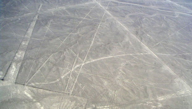 Vol au-dessus des Lignes de Nazca - Photo 5