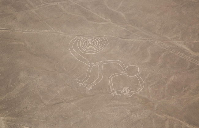 Nazca Lines Plane Ride - Photo 1