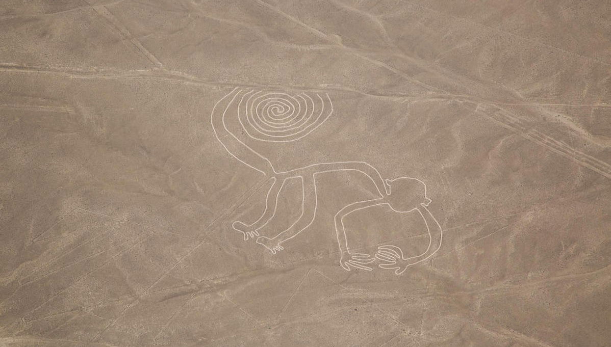 Vol au-dessus des Lignes de Nazca - Photo 1