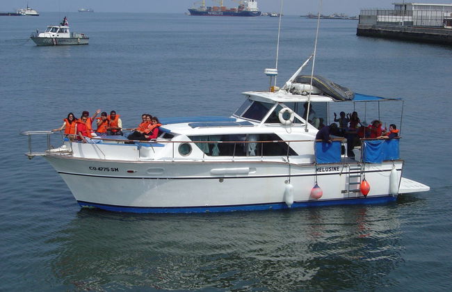 Paseo en barco por las Islas Palomino - Foto 2