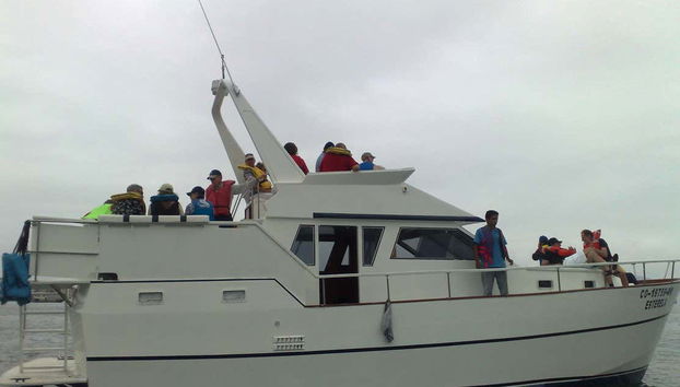 Palomino Islands Boat Trip - Photo 4