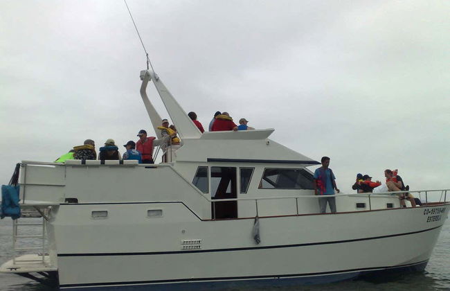 Palomino Islands Boat Trip - Photo 7