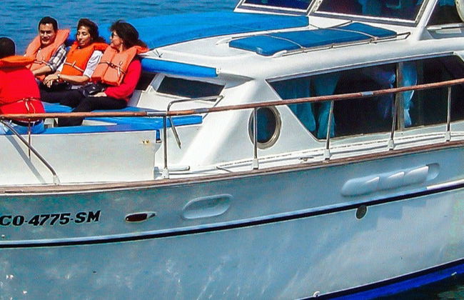 Paseo en barco por las Islas Palomino - Foto 12