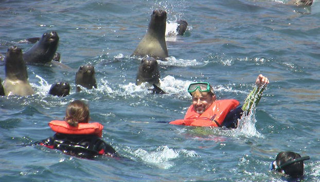 Palomino Islands Boat Trip - Photo 5