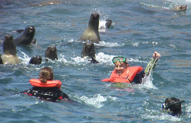 Palomino Islands Boat Trip - Photo 8