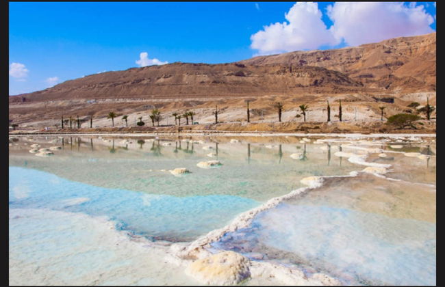 Masada and the Dead Sea Tour - Foto 8