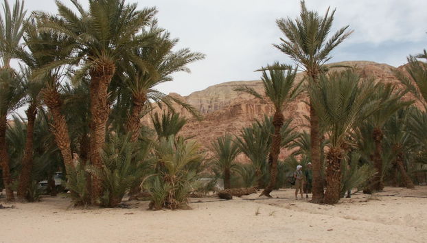 White Canyon & Ain Khunra Offroading Vehicle Tour - Foto 3