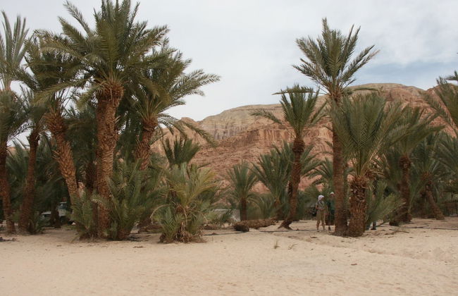 Tour en 4x4 por el Cañón Blanco y Ain Khudra - Foto 3