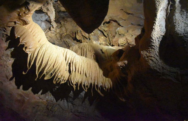 Excursión a las cuevas de San José - Foto 2