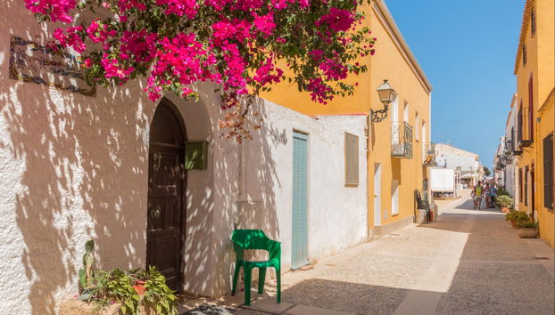 Excursión a la isla de Tabarca y el palmeral de Elche - Photo 3