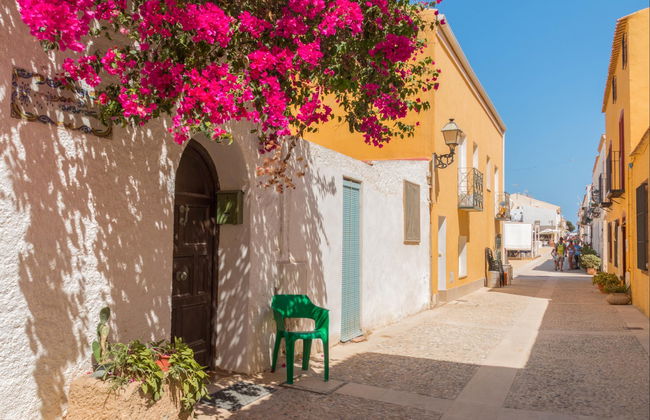 Excursión a la isla de Tabarca y el palmeral de Elche - Foto 3