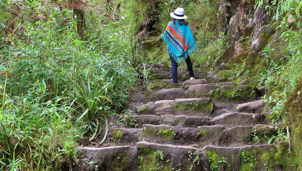 Machu Picchu & Huayna Picchu - Foto 4