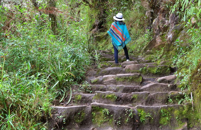 Machu Picchu & Huayna Picchu - Foto 4