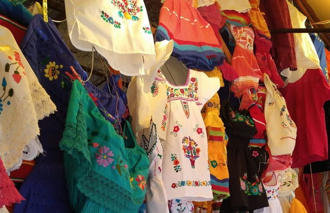 Tour pelos bairros de Xochimilco e Coyoacán - Foto 3