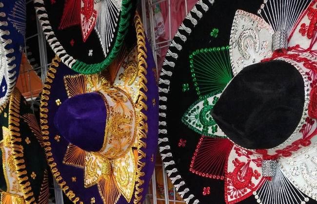 Tour pelos bairros de Xochimilco e Coyoacán - Foto 5