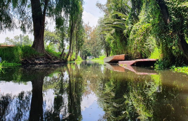 Tour pelos bairros de Xochimilco e Coyoacán - Foto 4