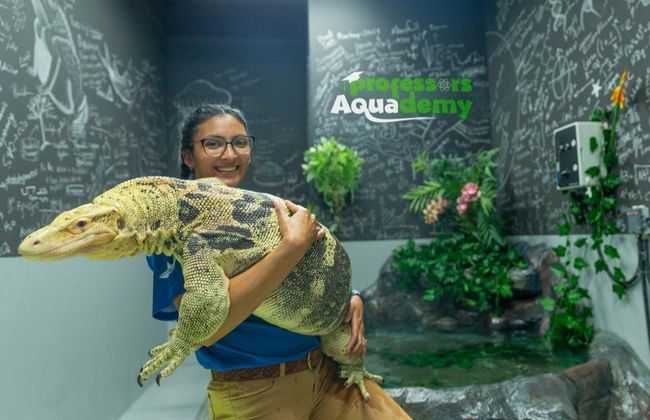 Billet pour l'Aquarium National d'Abou Dabi - Photo 4