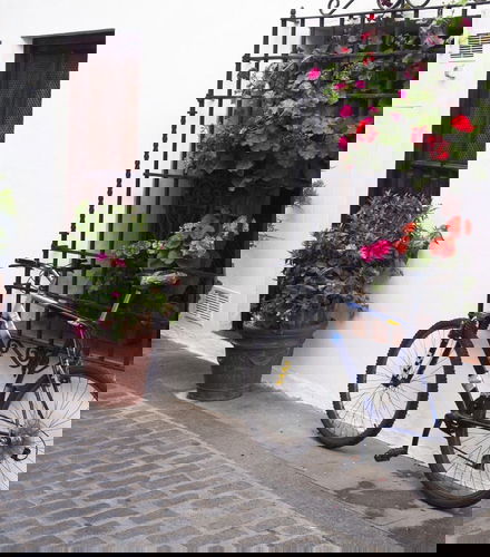 Foto de Tour en bicicleta por Córdoba