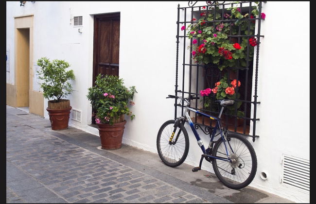 Balade à vélo dans Cordoue - Photo 2
