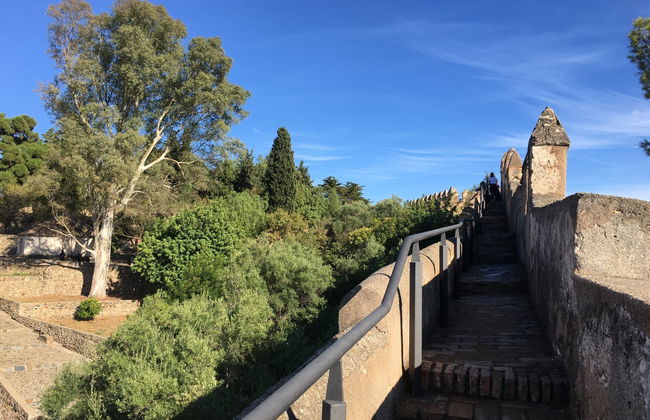 Visite guidée du château de Gibralfaro - Photo 2