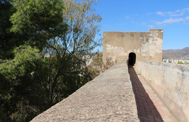 Visite guidée du château de Gibralfaro - Photo 6