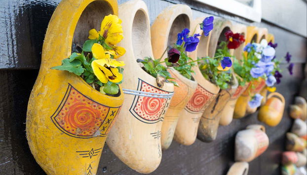 Escursione ai mulini di Zaanse Schans - Foto 2