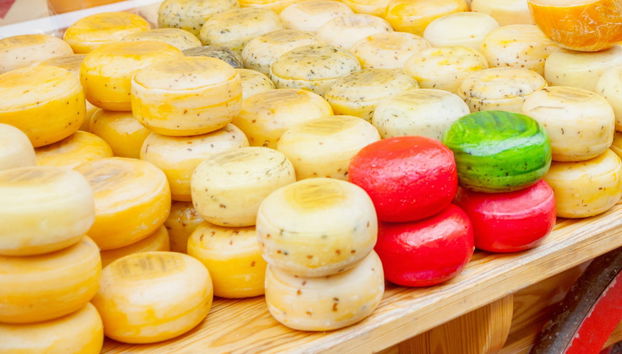 Excursion à Zaanse Schans en autonomie - Photo 2