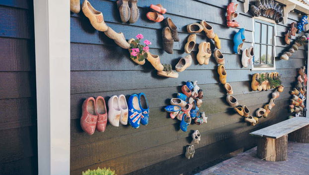 Escursione ai mulini di Zaanse Schans - Foto 5