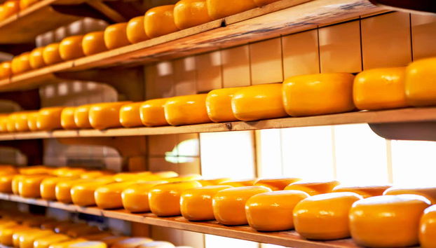 Escursione ai mulini di Zaanse Schans - Foto 4