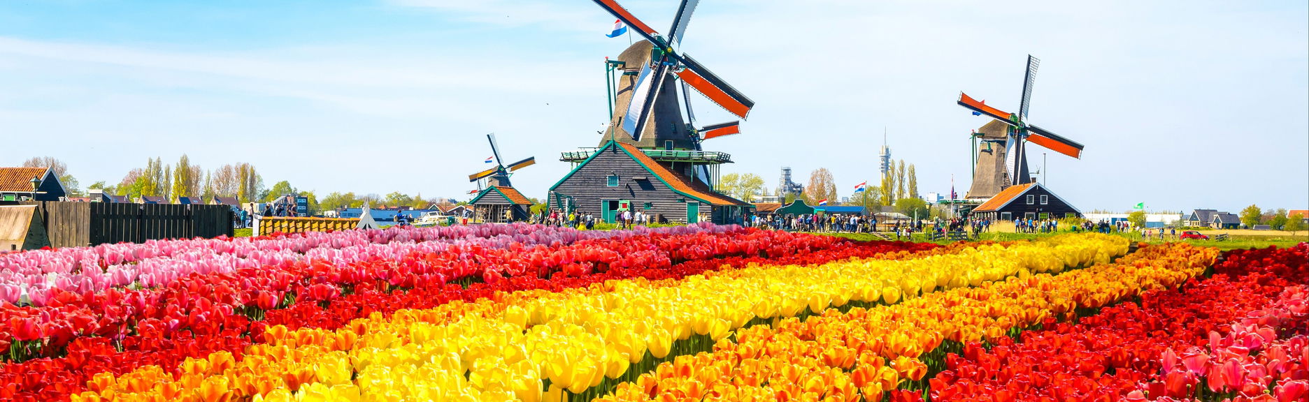 Zaanse Schans Windmills Self-Guided Day Trip - Photo 1