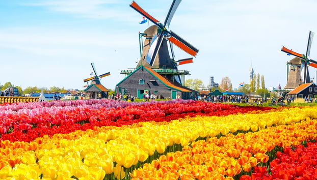 Excursión a Zaanse Schans - Foto 5