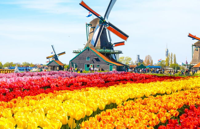 Excursión a Zaanse Schans - Foto 5