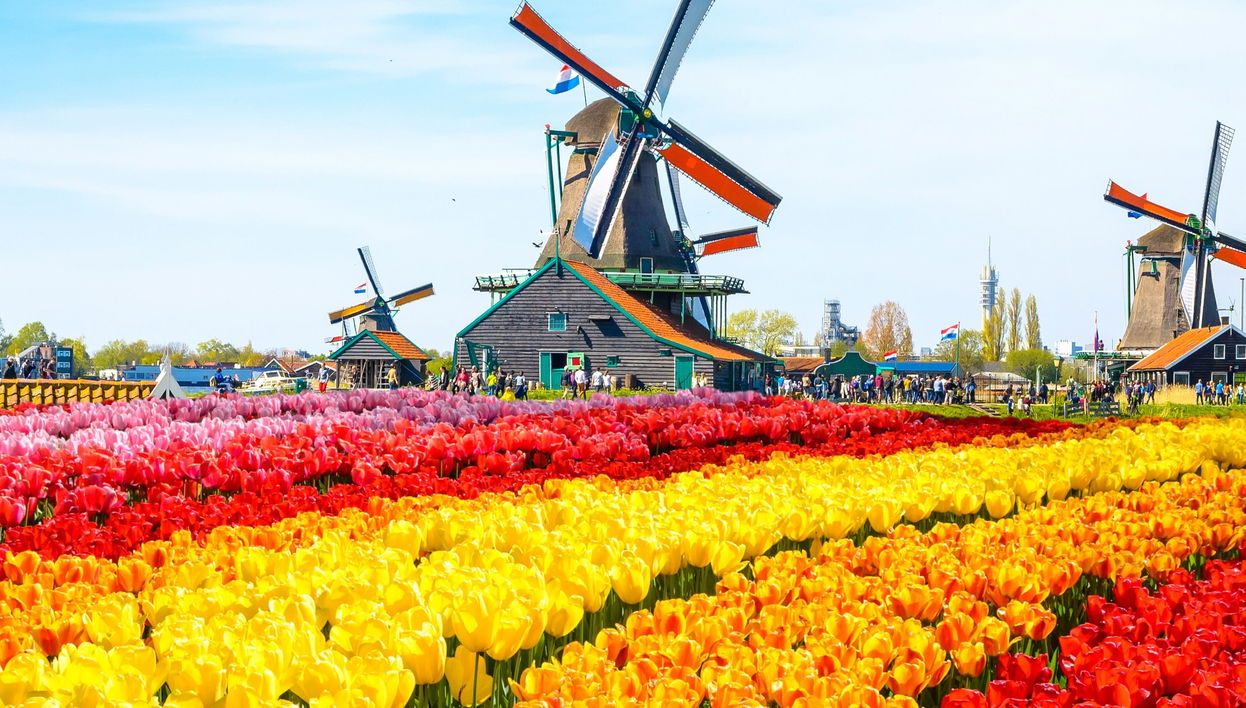 Excursion à Zaanse Schans en autonomie - Photo 2