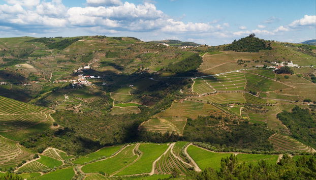 Douro Region Full-Day Trip - Foto 5