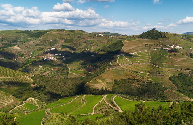 Tour por la región del Duero - Foto 5