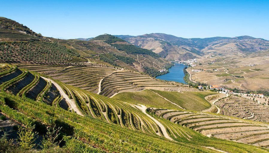 Douro Region Full-Day Trip - Foto 1