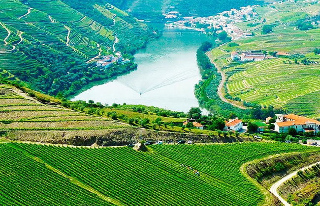 Tour della regione del Douro - Foto 10