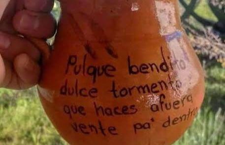 Degustación de pulque - Foto 5