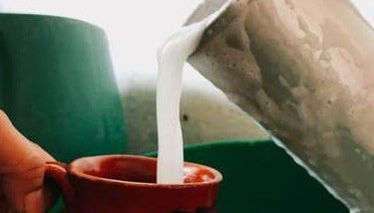 Pulque Tasting - Photo 1