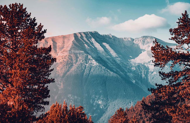 Excursion au mont olympe et à Dion - Photo 6