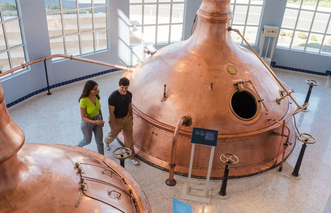 Visita a la fábrica de cerveza The Farsons con audioguía - Foto 4