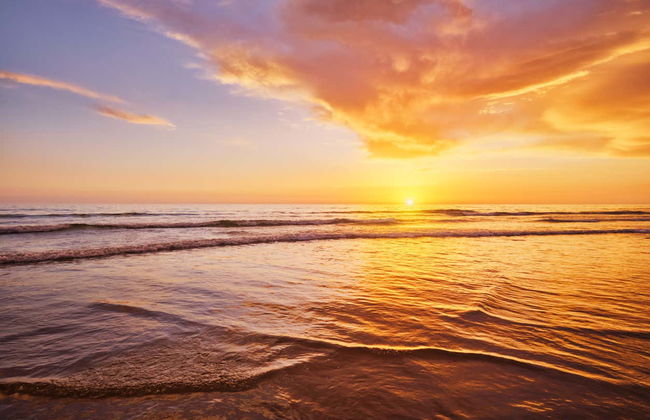 Balade en bateau au coucher du soleil dans la baie de Setúbal - Photo 6