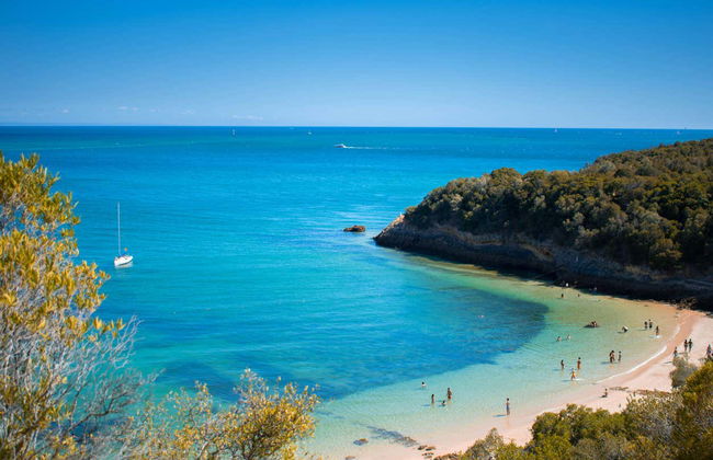 Balade en bateau au coucher du soleil dans la baie de Setúbal - Photo 2