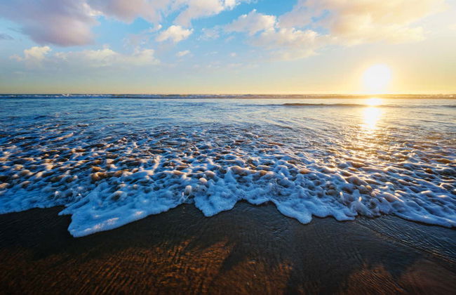 Balade en bateau au coucher du soleil dans la baie de Setúbal - Photo 7