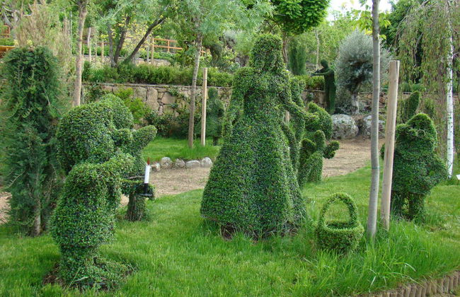 Enchanted Forest Tickets - Foto 14