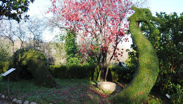 Entrada a El Bosque Encantado - Foto 3