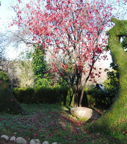Foto de Entrada a El Bosque Encantado