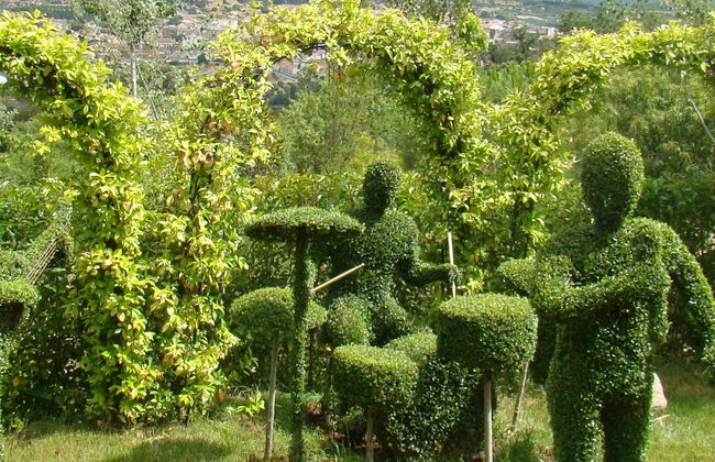Billet pour la Forêt Enchantée - Photo 13