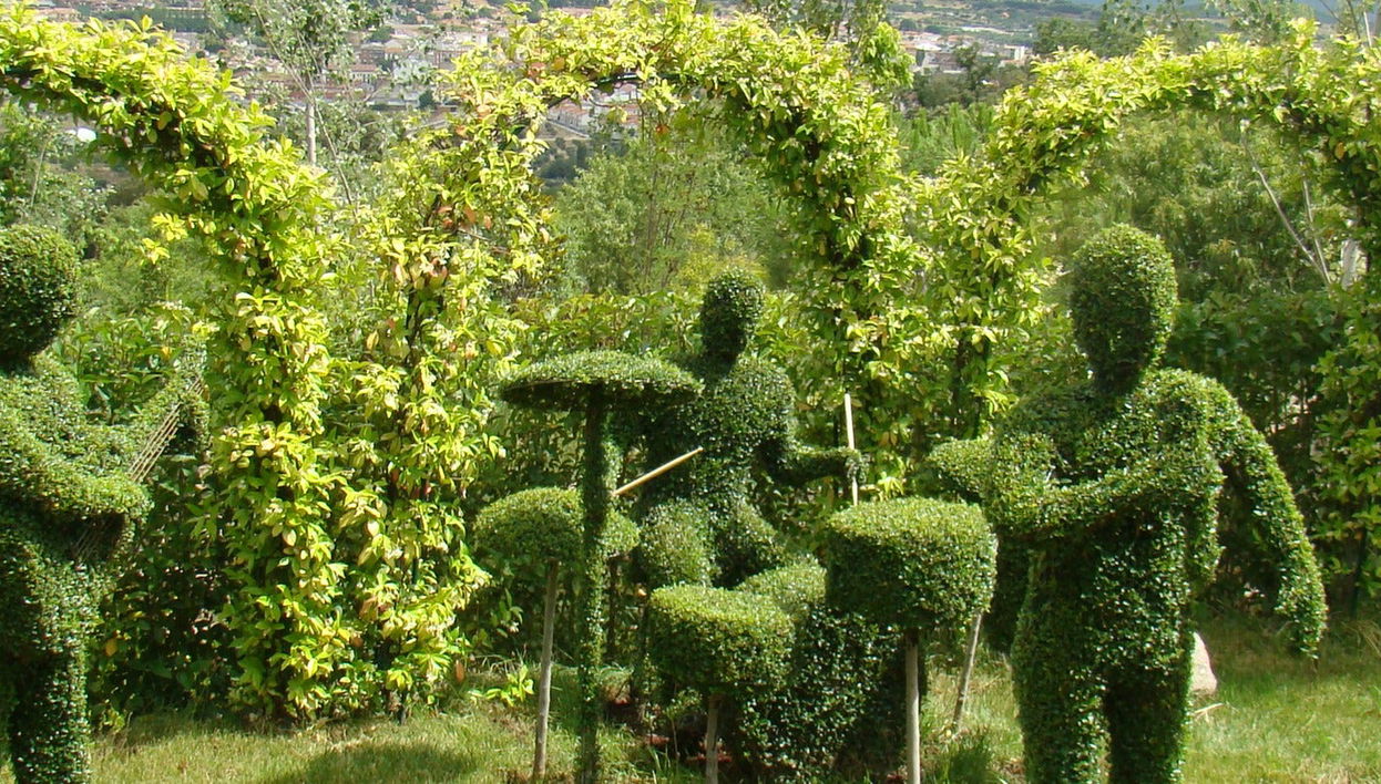 Billet pour la Forêt Enchantée
